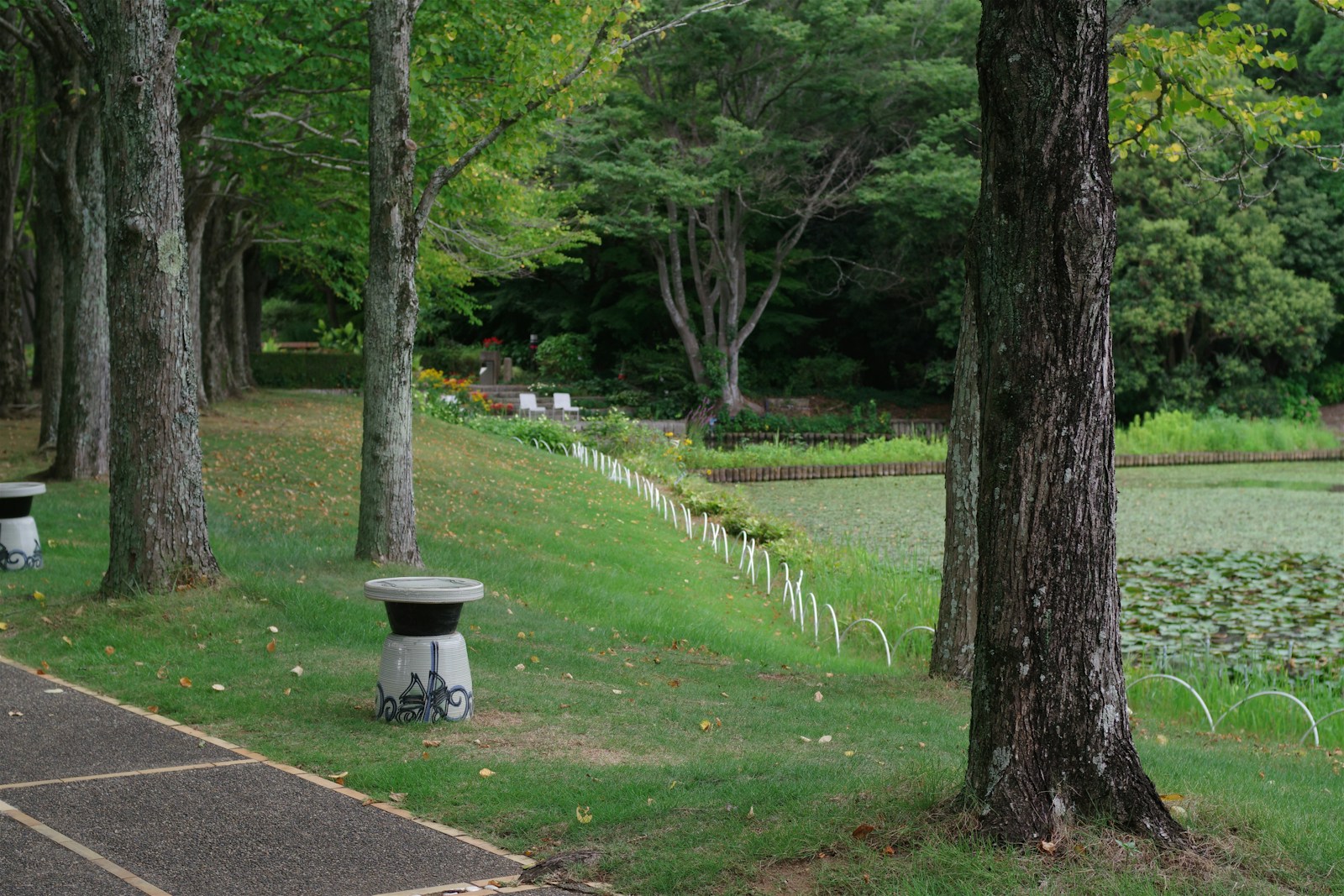 A couple of benches sitting on the side of a road