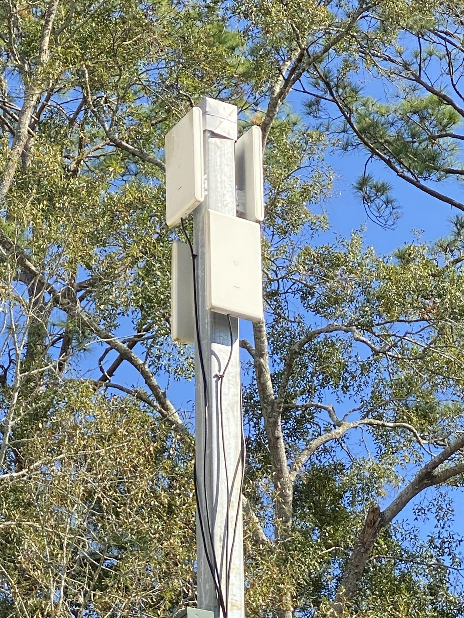 A white cellular antenna atop a metal pole surrounded by green tree branches, set against a clear blue sky, conveys a sense of modern connectivity.