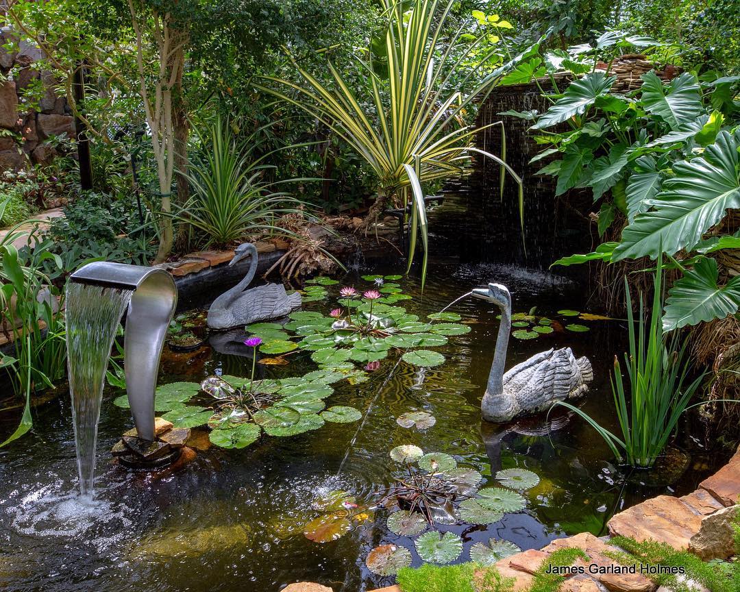 a photo of beaumont botanical gardens